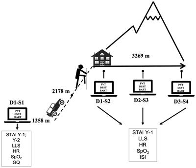 A Prospective Evaluation of the Acute Effects of High Altitude on Cognitive and Physiological Functions in Lowlanders